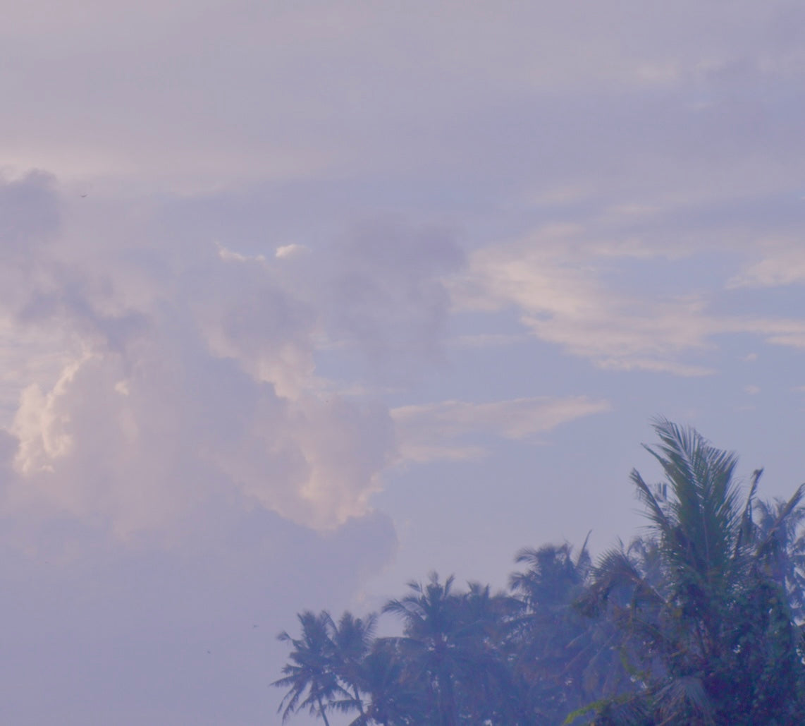 The Daily Reset - 10 Minute Meditation